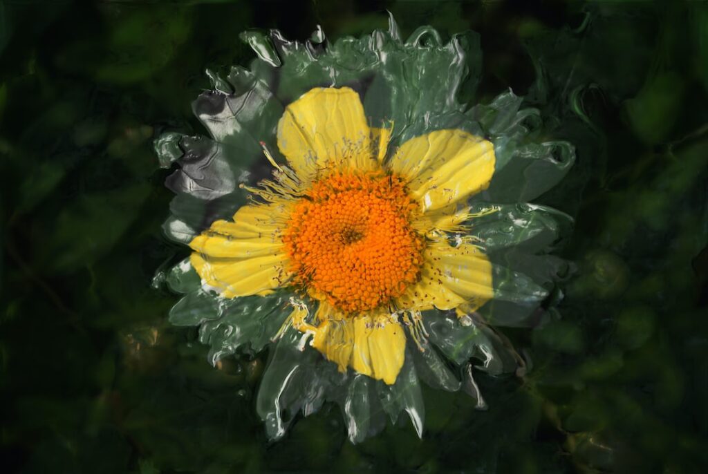 a yellow flower with green leaves