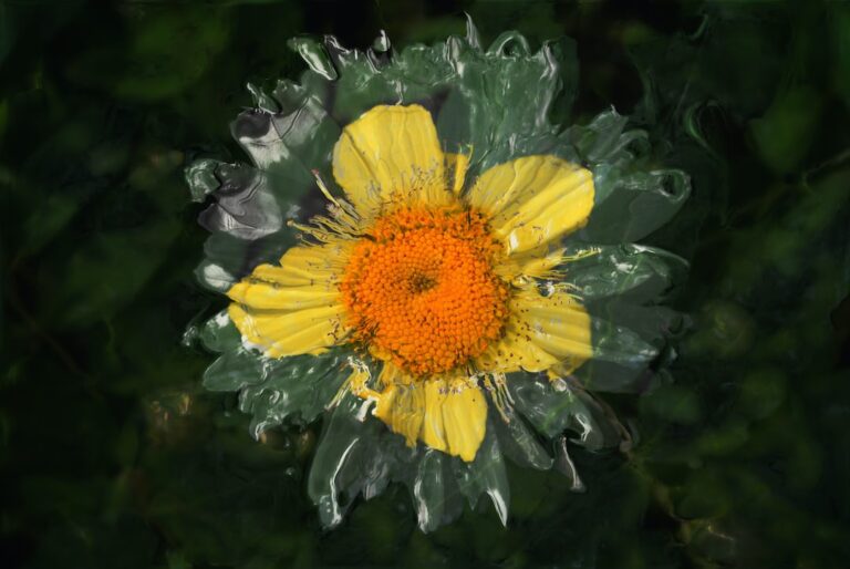 a yellow flower with green leaves