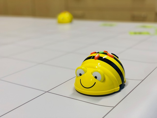 beebot, bee, nature