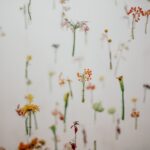 closeup photo of floating flowers poster