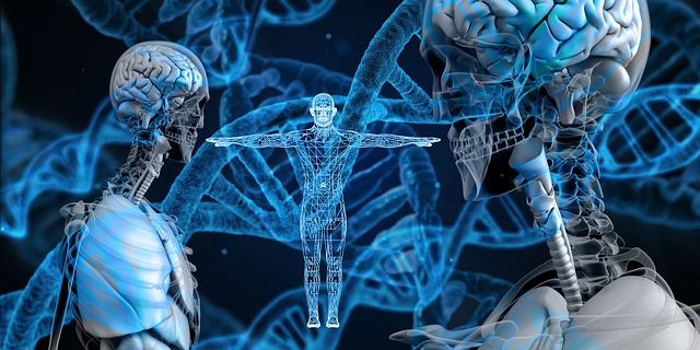 dna, heritage, helix