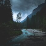 flowing river between tall trees
