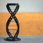 gout, genetics, the genetic code