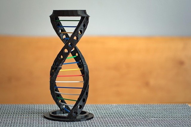 gout, genetics, the genetic code