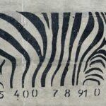 grafitti, code, zebra