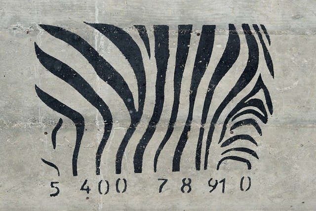 grafitti, code, zebra