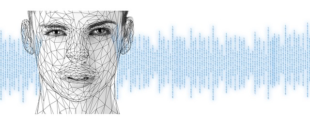 integration, face, binary