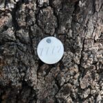 tree identification tags, identification tags, tree tags